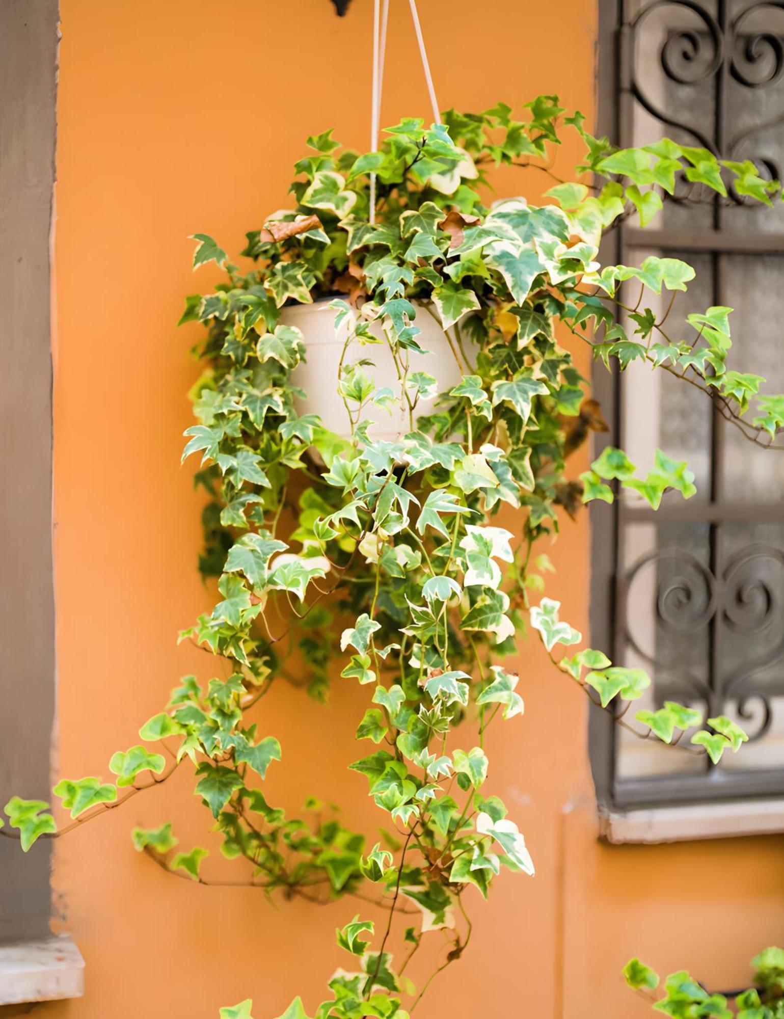 The Best Nest Rome Extérieur photo